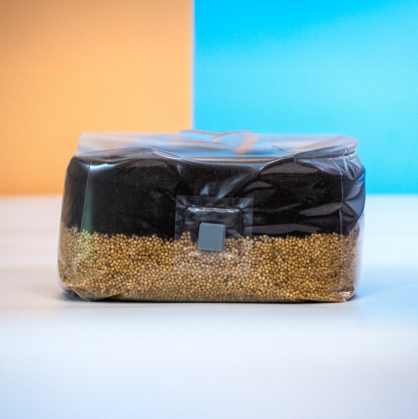 All-in-One Mushroom Grow Bag (5 lbs) for Manure Loving Mushrooms