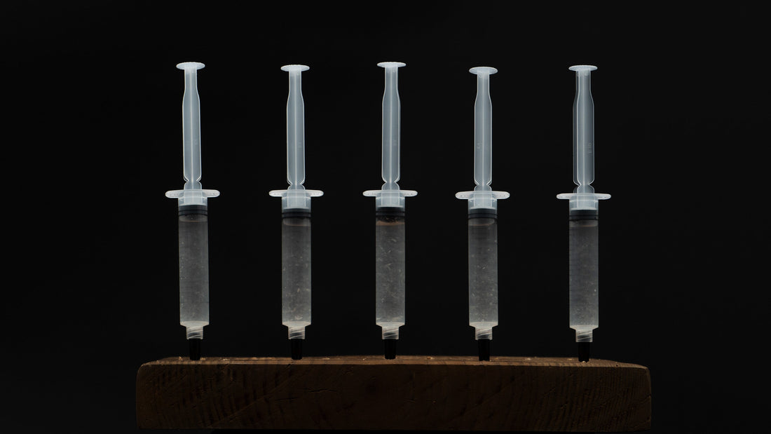 5 mushroom liquid culture syringes