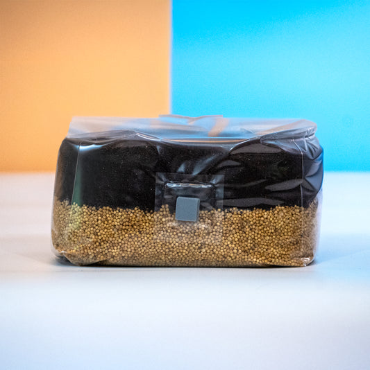 All-in-One Mushroom Grow Bag (5 lbs) for Manure Loving Mushrooms