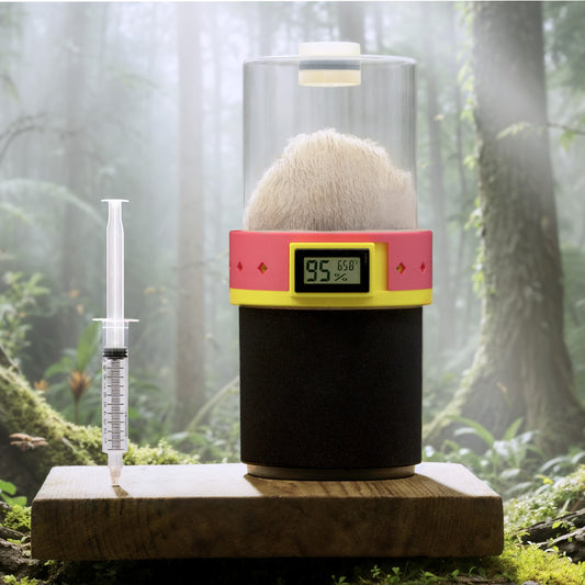 Mushroom Pod Grow Kit (Wood) + Liquid Culture