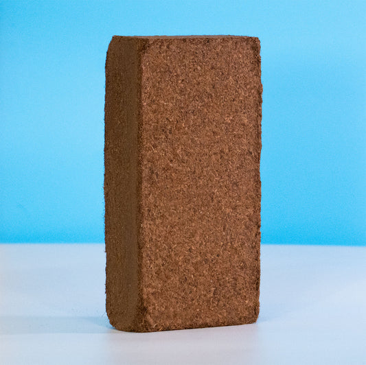 Coconut Coir (650g) | Mycology Grade
