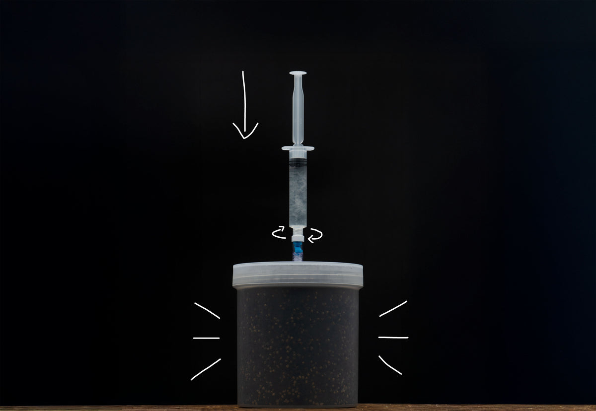 Mushroom Pod Grow Kit (Wood)