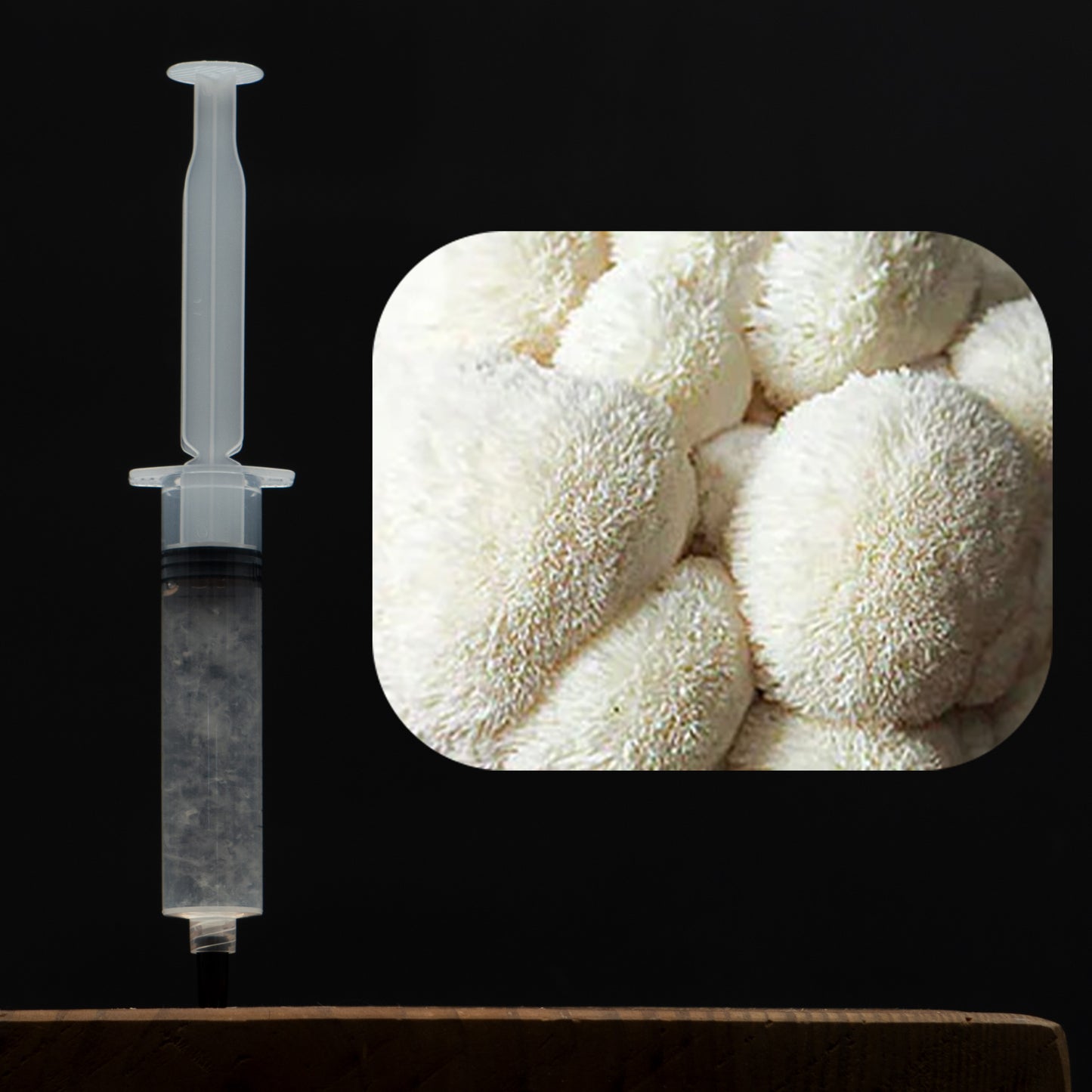 Lion's Mane Mushroom Liquid Culture Syringe