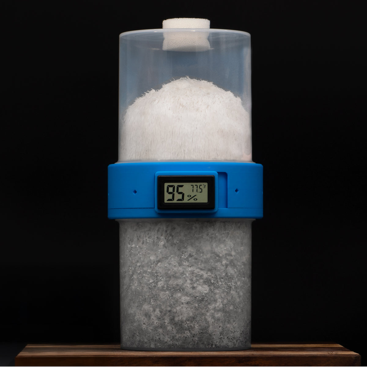 Mushroom Pod Kit with Lion's Mane growing inside