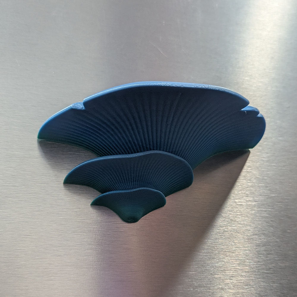 Oyster Mushroom Fridge Magnet