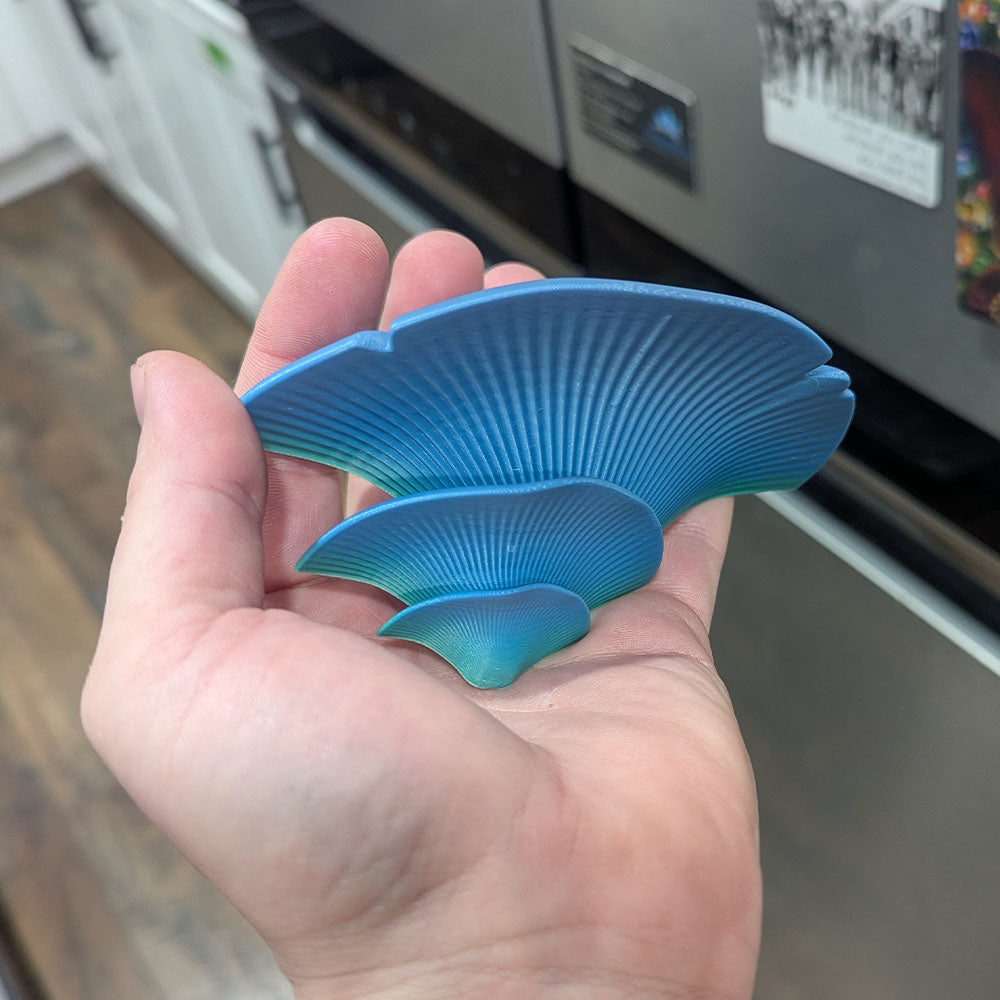Oyster Mushroom Fridge Magnet