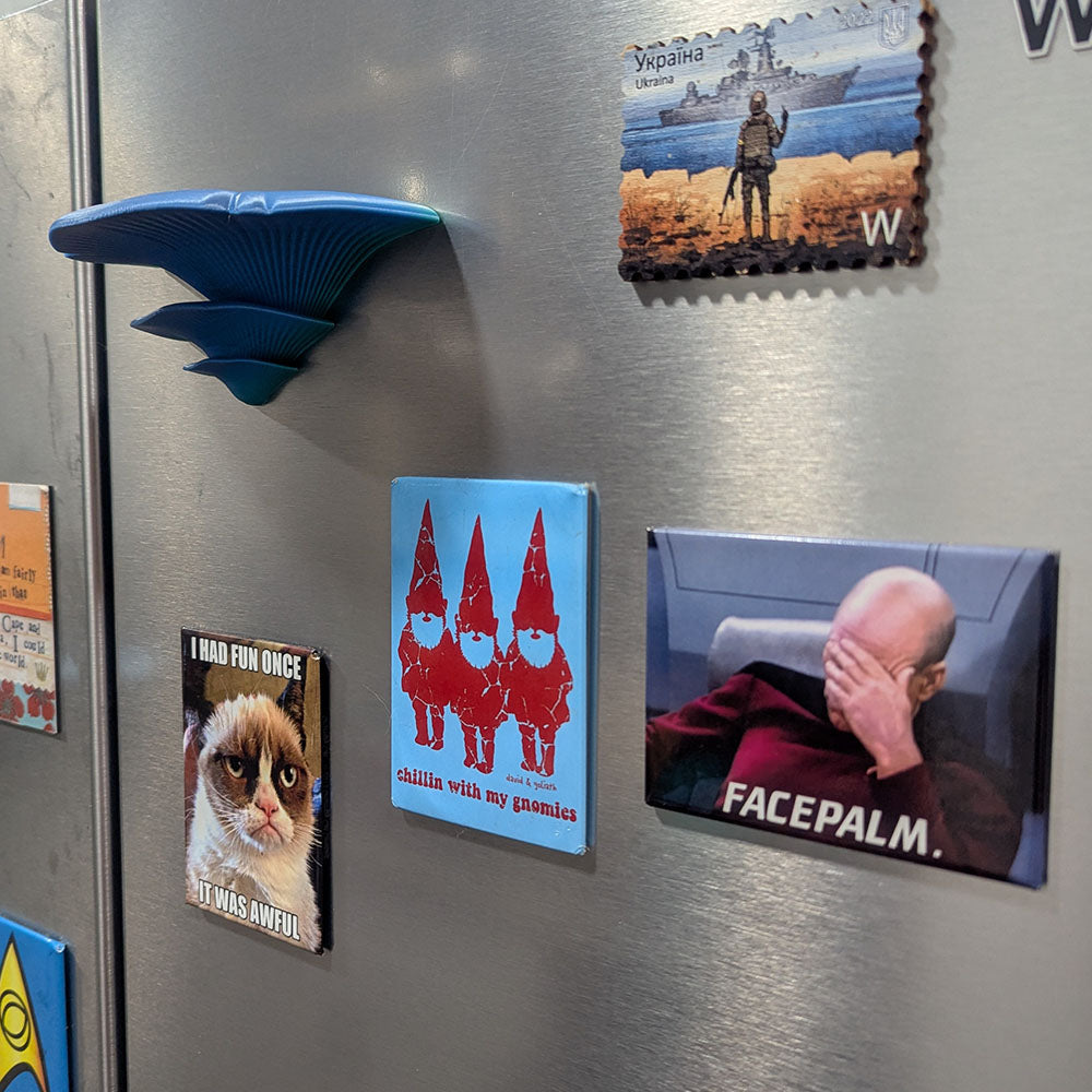 Oyster Mushroom Fridge Magnet