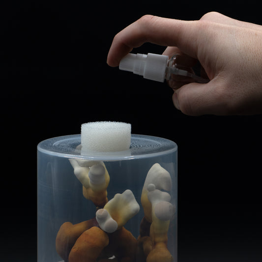 Top Filter for Mushroom Pod Fruiting Capsule